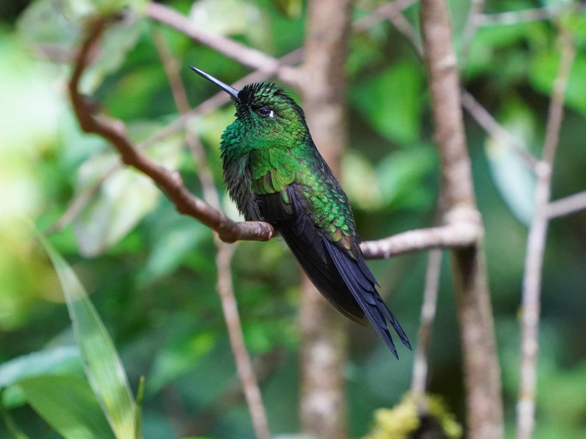 Campo Azul - Monteverde 외부 사진