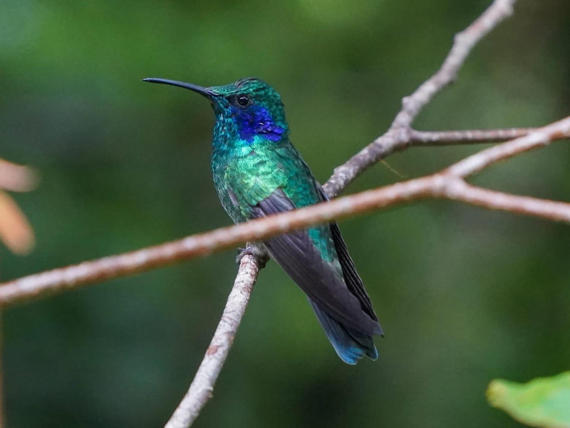 Campo Azul - Monteverde 외부 사진