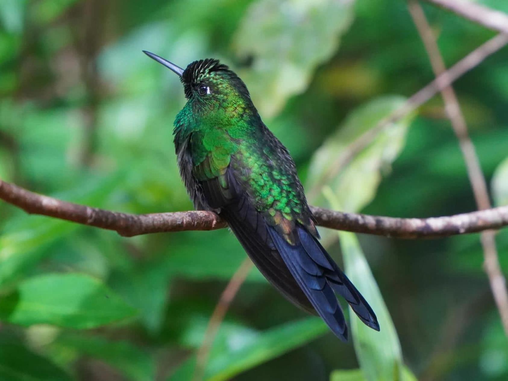 Campo Azul - Monteverde 외부 사진